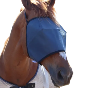 FLYBDESIGN BUDGET COB ASSORTED