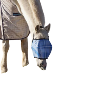 FLYBDESIGN BUDGET XL ASSORTED