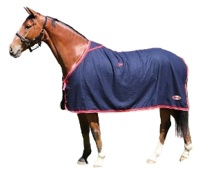 ZILCO STADIUM WOOL RUG NAVY